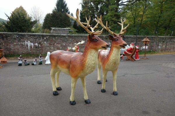 Weihnachtsdeko Hirsch XXL lebensgross, 225 cm hoch 6