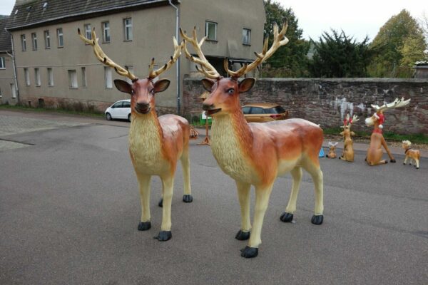 Weihnachtsdeko Hirsch XXL lebensgross, 225 cm hoch 3