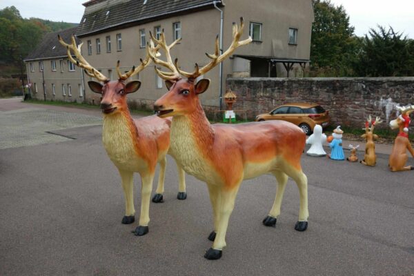 Weihnachtsdeko Hirsch XXL lebensgross, 225 cm hoch 2