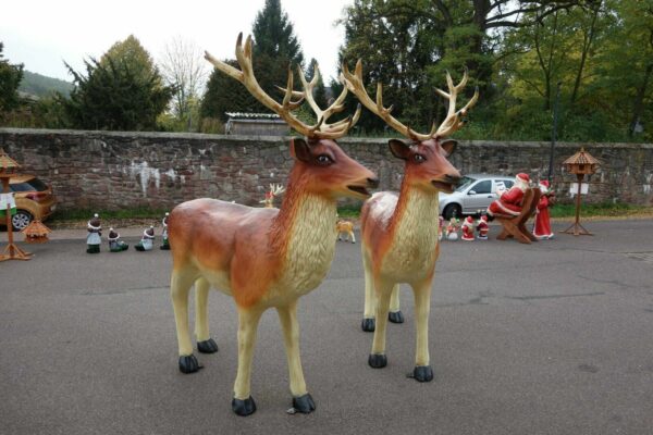 Weihnachtsdeko Hirsch XXL lebensgross, 225 cm hoch 5