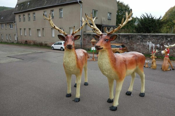 Weihnachtsdeko Hirsch XXL lebensgross, 225 cm hoch 4