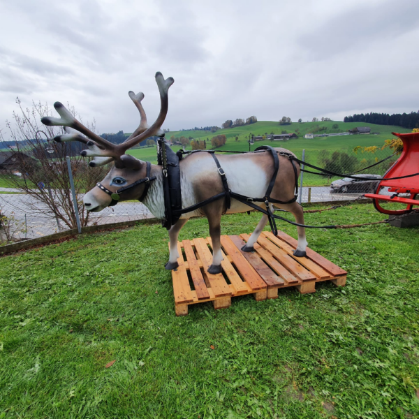 XXL Weihnachtsdeko Rentier gross, 2 Meter lang 9