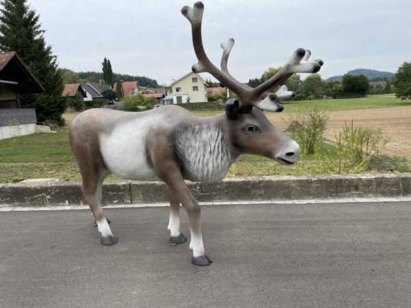 XXL Weihnachtsdeko Rentier gross, 2 Meter lang 2