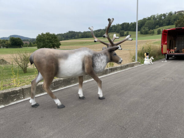 XXL Weihnachtsdeko Rentier gross, 2 Meter lang 4