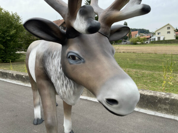 XXL Weihnachtsdeko Rentier gross, 2 Meter lang 7