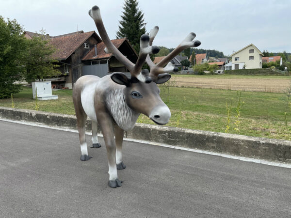 XXL Weihnachtsdeko Rentier gross, 2 Meter lang 3