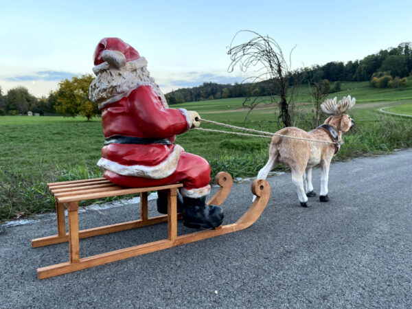 Rentier mit Schlitten und Weihnachtsmann beleuchtet, 130 cm 11