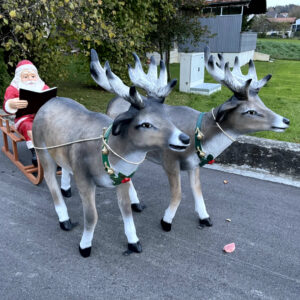 Lesender Weihnachtsmann mit Schlitten und 2 Rentieren, 280cm 6