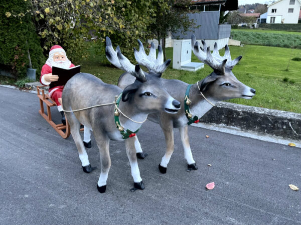 Lesender Weihnachtsmann mit Schlitten und 2 Rentieren, 280cm 7