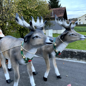 Lesender Weihnachtsmann mit Schlitten und 2 Rentieren, 280cm 2