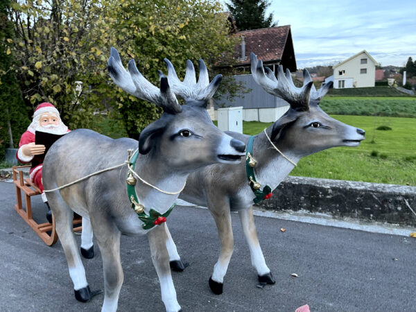 Lesender Weihnachtsmann mit Schlitten und 2 Rentieren, 280cm 3