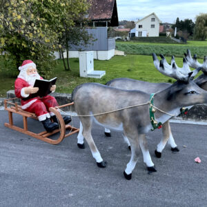 Lesender Weihnachtsmann mit Schlitten und 2 Rentieren, 280cm 4