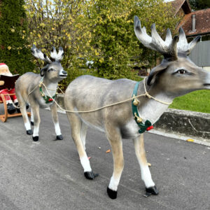 Lesender Weihnachtsmann mit Schlitten und 2 Rentieren, 280cm 3
