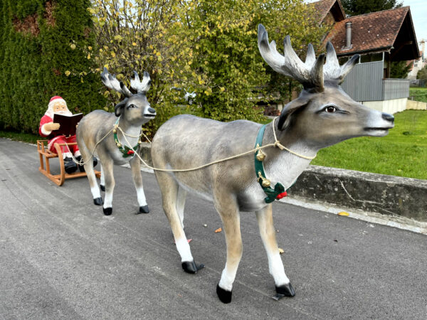 Lesender Weihnachtsmann mit Schlitten und 2 Rentieren, 280cm 4