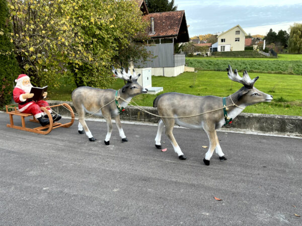 Lesender Weihnachtsmann mit Schlitten und 2 Rentieren, 280cm 6