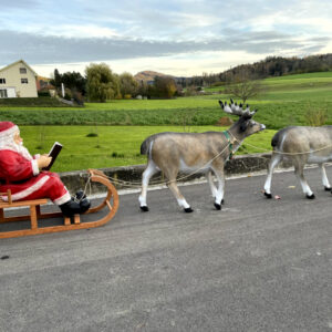 Lesender Weihnachtsmann mit Schlitten und 2 Rentieren, 280cm 7