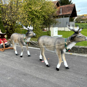 Lesender Weihnachtsmann mit Schlitten und 2 Rentieren, 280cm 1