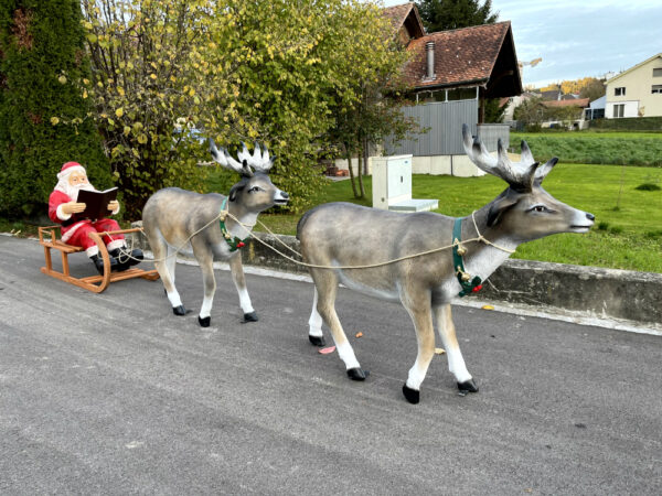 Lesender Weihnachtsmann mit Schlitten und 2 Rentieren, 280cm 2