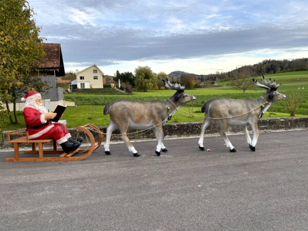 Lesender Weihnachtsmann mit Schlitten und 2 Rentieren, 280cm 10