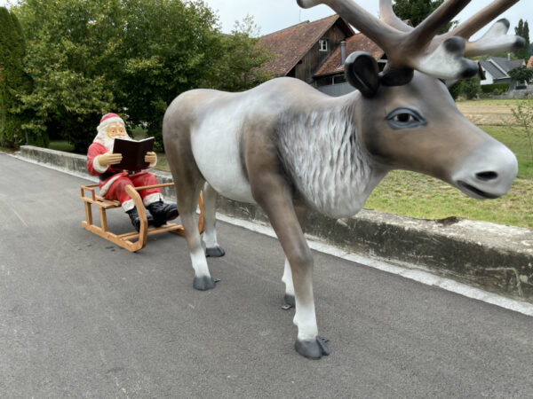 XXL Rentier mit Schlitten und Weihnachtsmann, 3.5 Meter lang 3