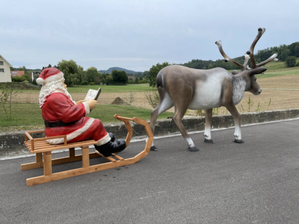 XXL Rentier mit Schlitten und Weihnachtsmann, 3.5 Meter lang 6