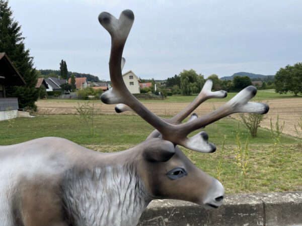 XXL Rentier mit Schlitten und Weihnachtsmann, 3.5 Meter lang 8