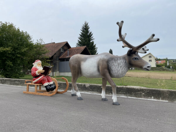 XXL Rentier mit Schlitten und Weihnachtsmann, 3.5 Meter lang 4