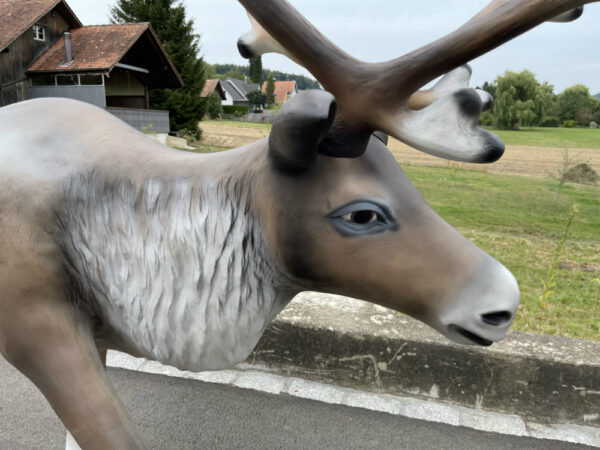 XXL Rentier mit Schlitten und Weihnachtsmann, 3.5 Meter lang 7